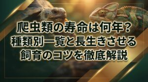 爬虫類の寿命は何年？種類別一覧と長生きさせる飼育のコツを徹底解説