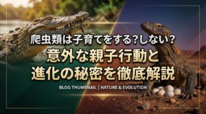 爬虫類は子育てをする？しない？意外な親子行動と進化の秘密を徹底解説