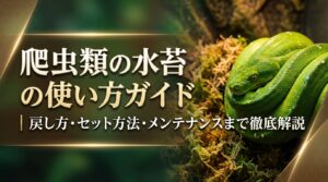 爬虫類の水苔の使い方ガイド｜戻し方・セット方法・メンテナンスまで徹底解説