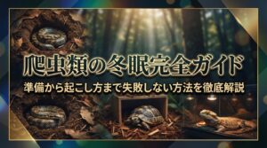 爬虫類の冬眠完全ガイド｜準備から起こし方まで失敗しない方法を徹底解説
