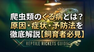 爬虫類のくる病とは？原因・症状・予防法を徹底解説【飼育者必見】