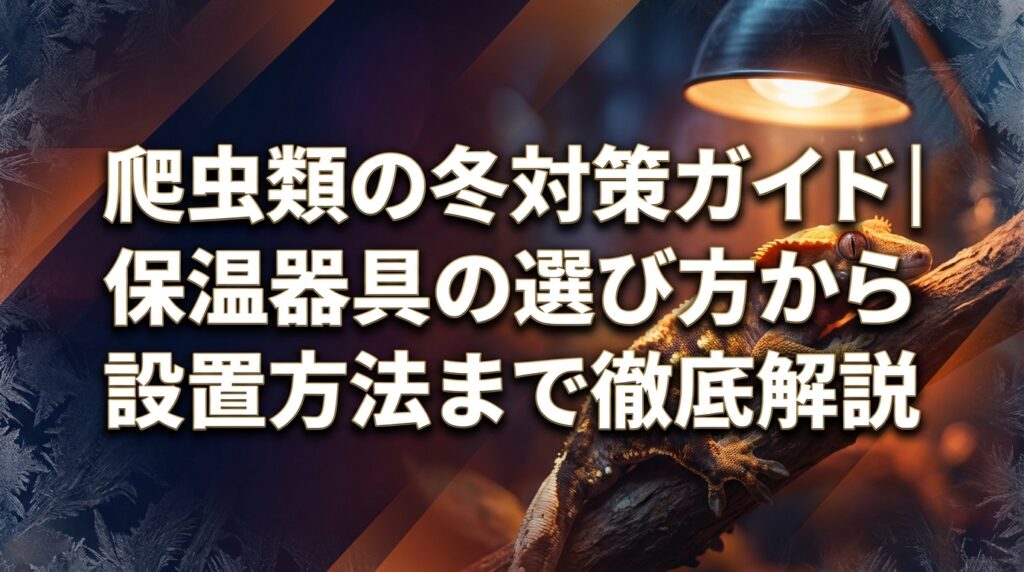 爬虫類の冬対策ガイド｜保温器具の選び方から設置方法まで徹底解説