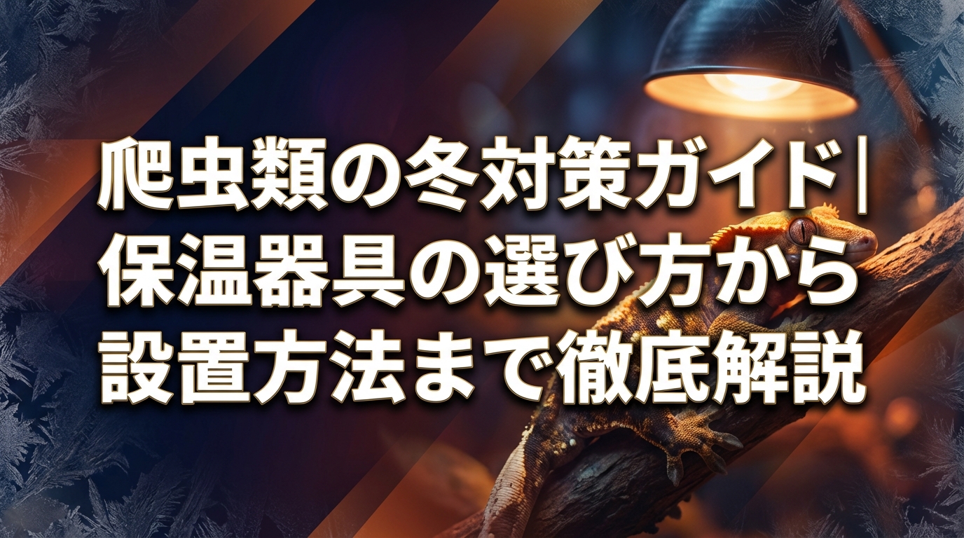 爬虫類の冬対策ガイド｜保温器具の選び方から設置方法まで徹底解説