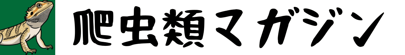 爬虫類マガジン