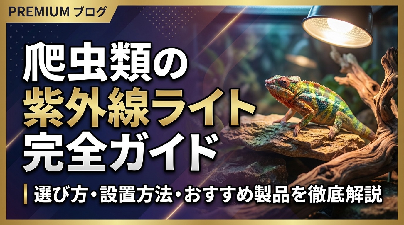 爬虫類の紫外線ライト完全ガイド｜選び方・設置方法・おすすめ製品を徹底解説