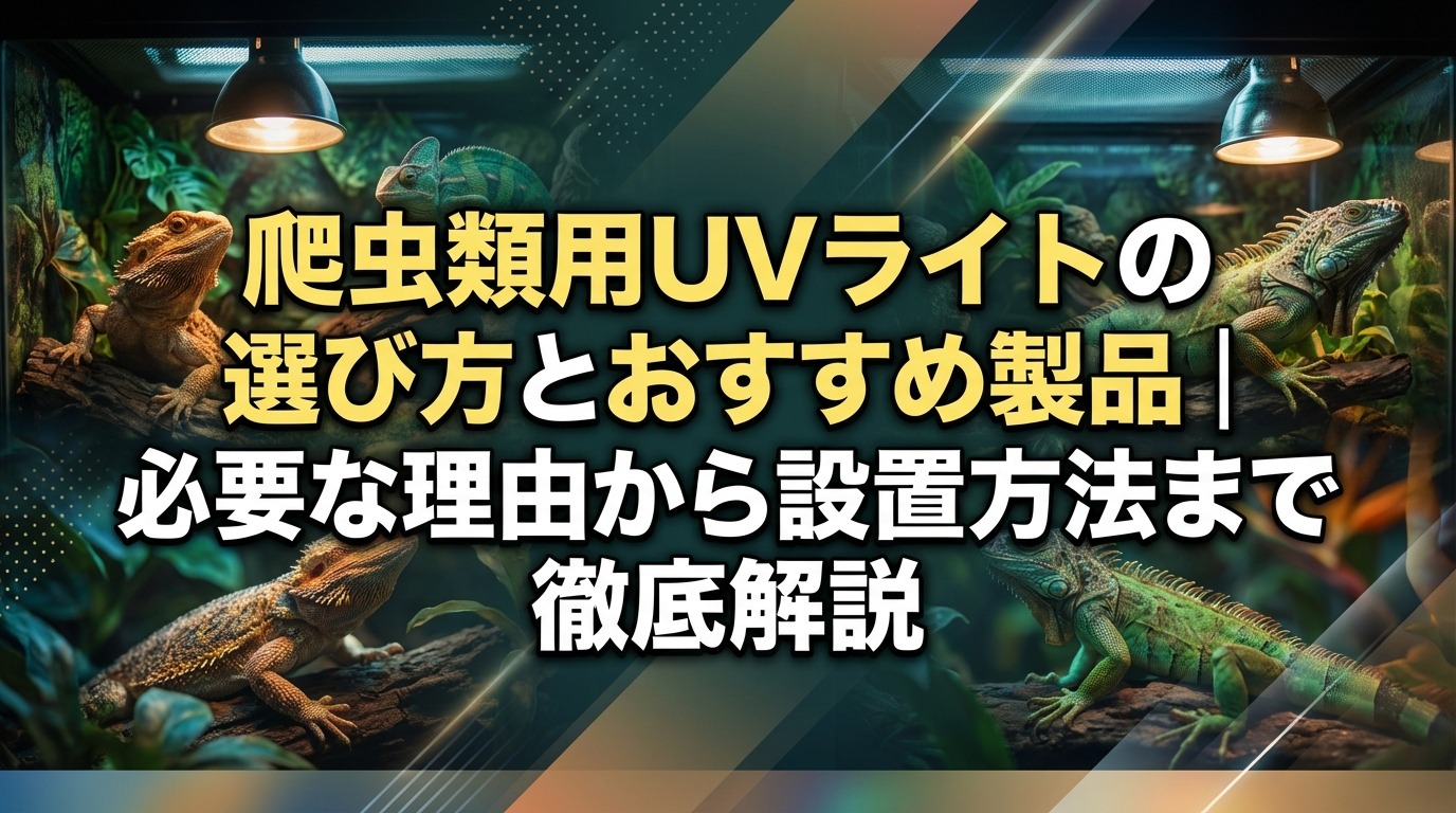 爬虫類用UVライトの選び方とおすすめ製品｜必要な理由から設置方法まで徹底解説