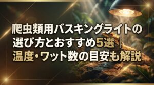 爬虫類用バスキングライトの選び方とおすすめ5選｜温度・ワット数の目安も解説