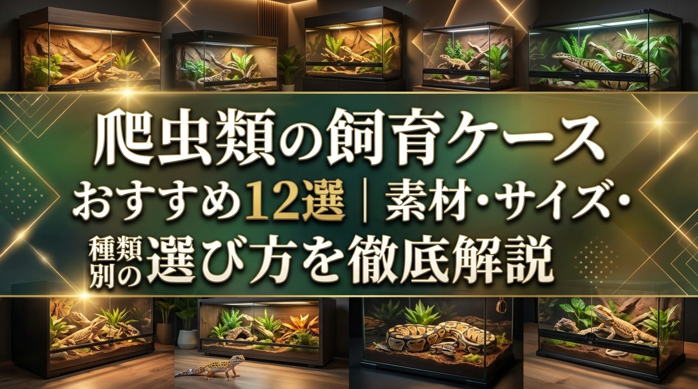 爬虫類の飼育ケースおすすめ12選｜素材・サイズ・種類別の選び方を徹底解説