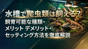 水槽で爬虫類は飼える？飼育可能な種類・メリットデメリット・セッティング方法を徹底解説