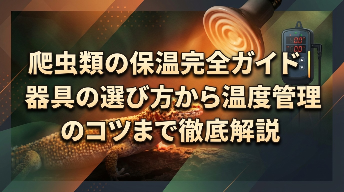 爬虫類の保温完全ガイド｜器具の選び方から温度管理のコツまで徹底解説