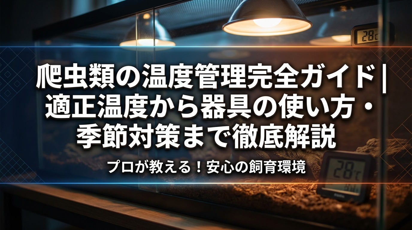 爬虫類の温度管理完全ガイド|適正温度から器具の使い方・季節対策まで徹底解説