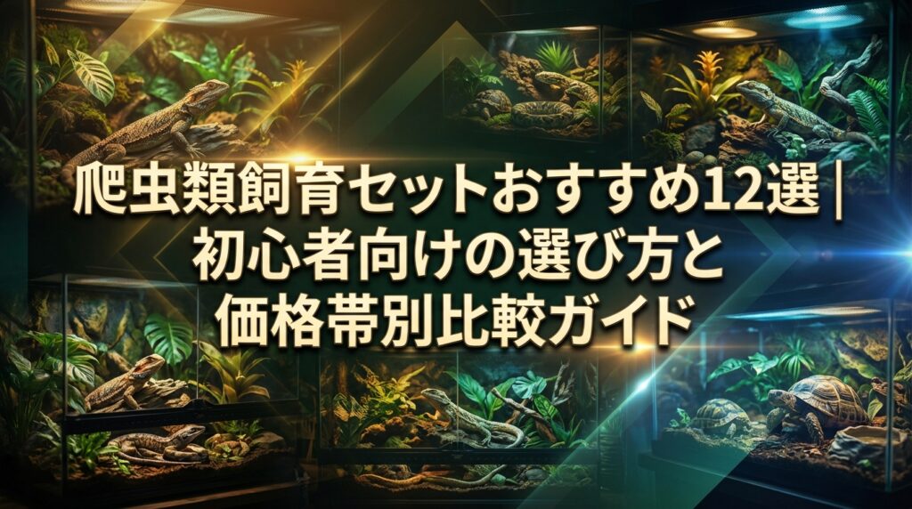 爬虫類飼育セットおすすめ12選｜初心者向けの選び方と価格帯別比較ガイド