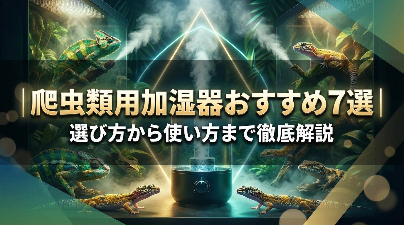 爬虫類用加湿器おすすめ7選|選び方から使い方まで徹底解説
