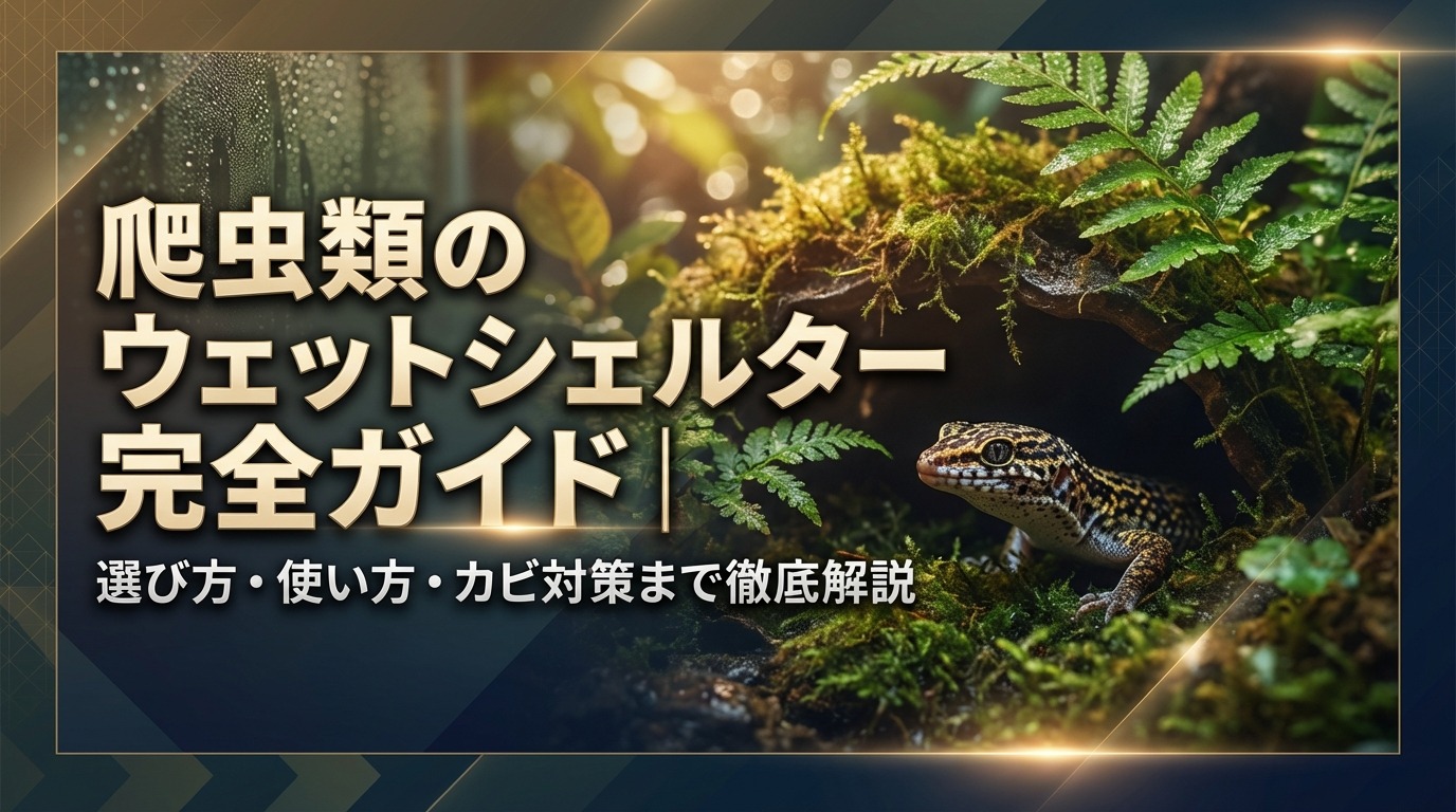 爬虫類のウェットシェルター完全ガイド|選び方・使い方・カビ対策まで徹底解説