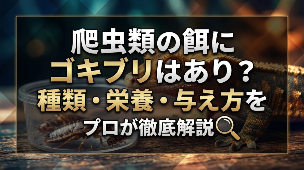 爬虫類の餌にゴキブリはあり？種類・栄養・与え方をプロが徹底解説