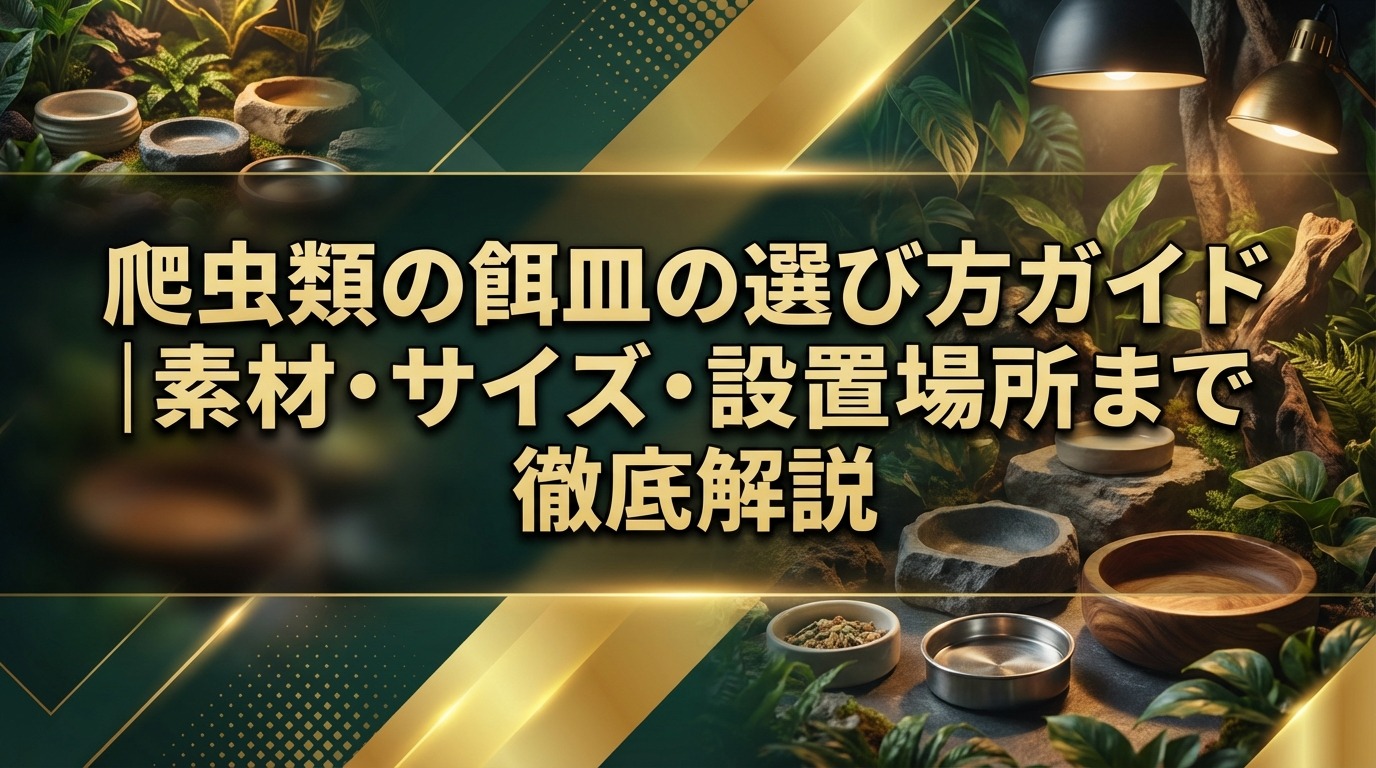 爬虫類の餌皿の選び方ガイド｜素材・サイズ・設置場所まで徹底解説