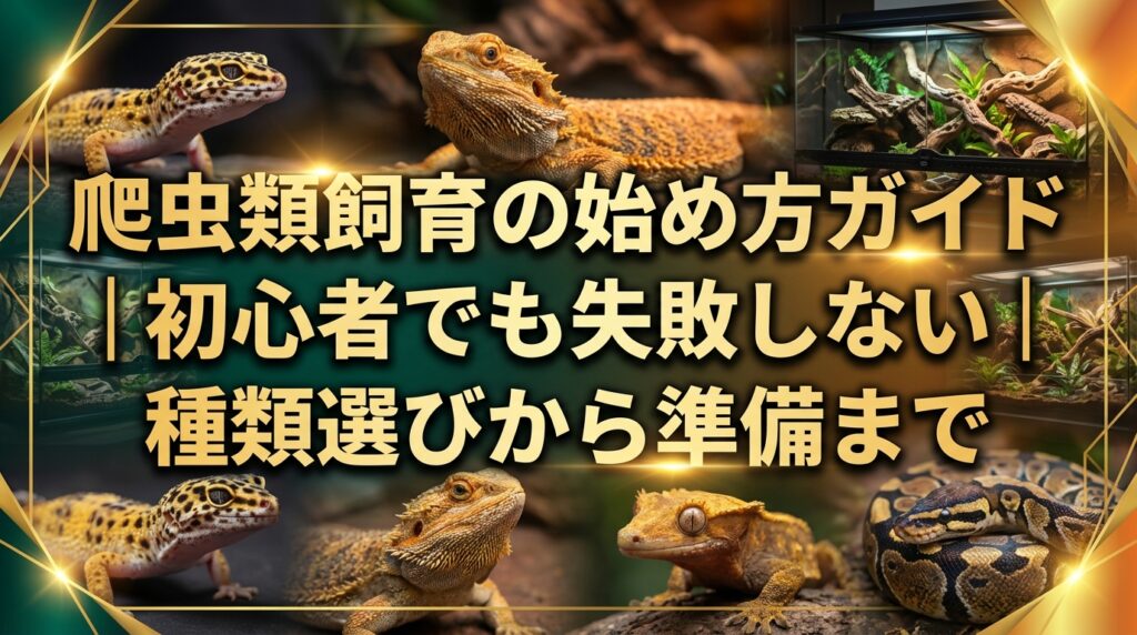 爬虫類飼育の始め方ガイド｜初心者でも失敗しない種類選びから準備まで