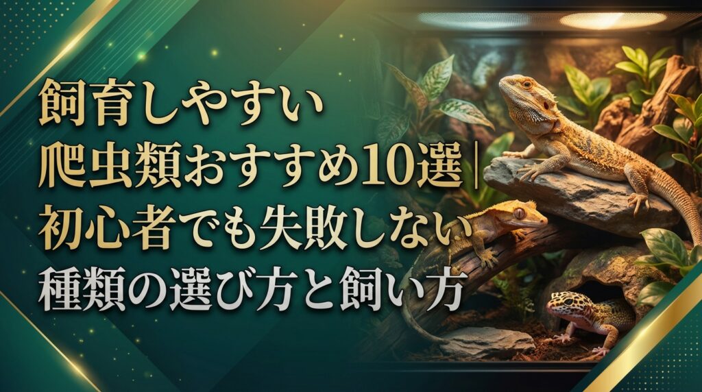 飼育しやすい爬虫類おすすめ10選｜初心者でも失敗しない種類の選び方と飼い方