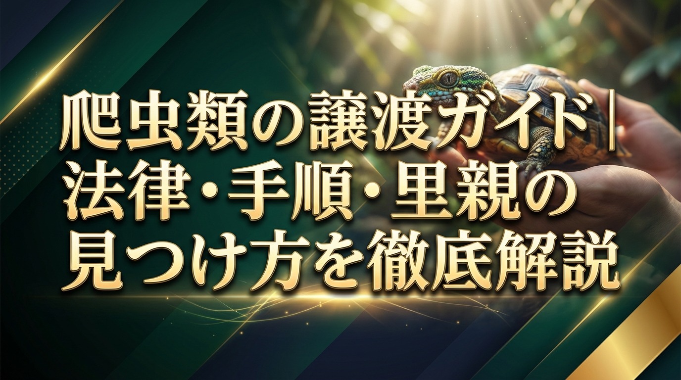 爬虫類の譲渡ガイド|法律・手順・里親の見つけ方を徹底解説