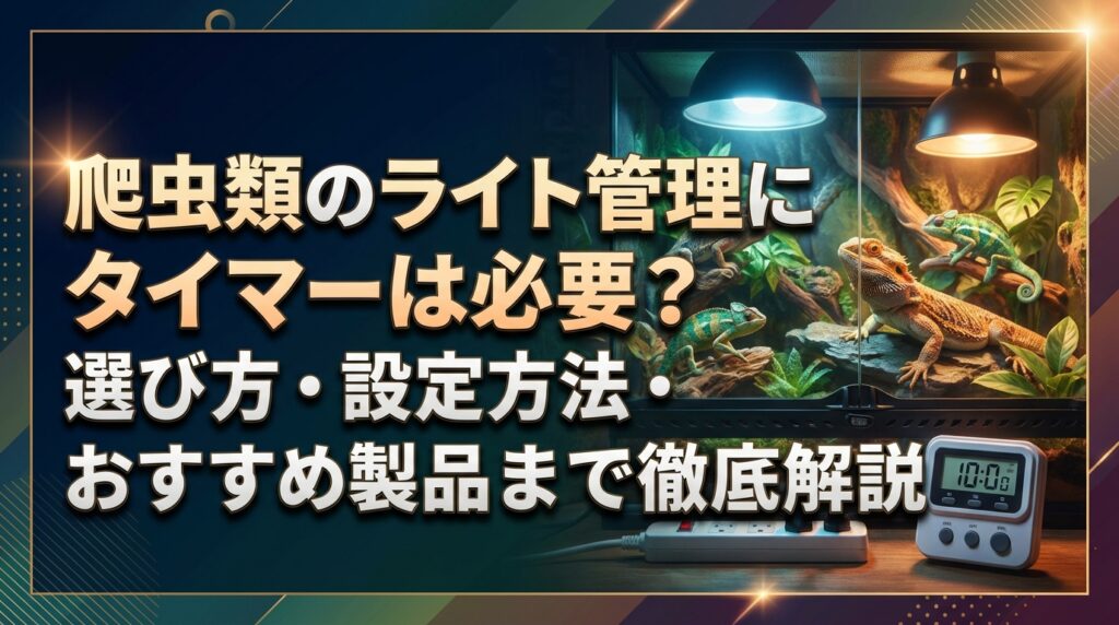 爬虫類のライト管理にタイマーは必要？選び方・設定方法・おすすめ製品まで徹底解説
