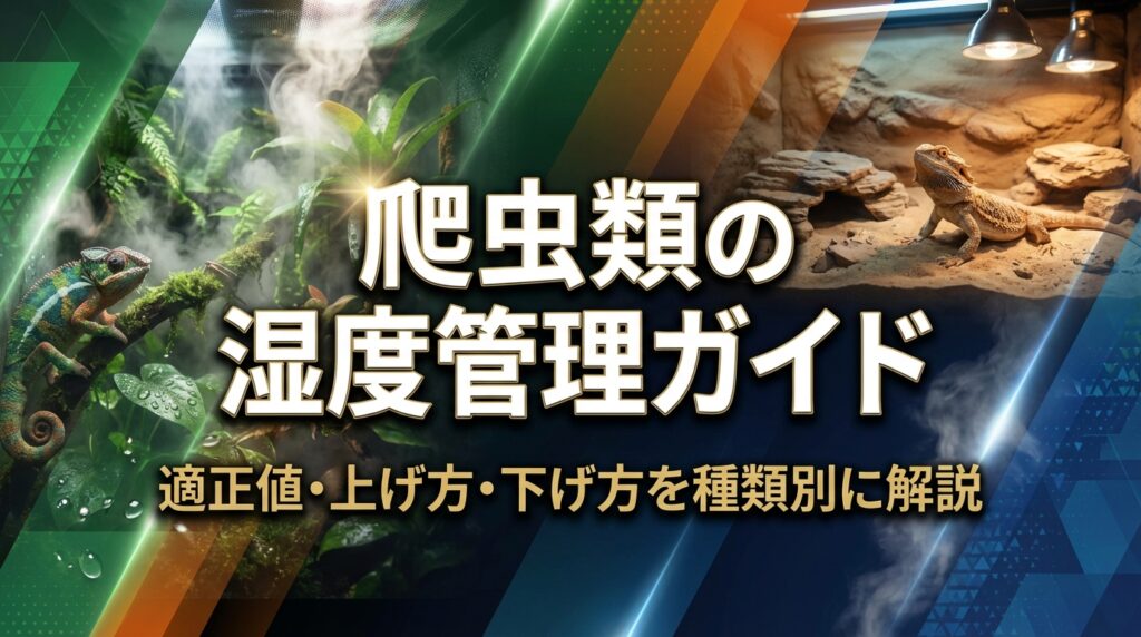 爬虫類の湿度管理ガイド｜適正値・上げ方・下げ方を種類別に解説