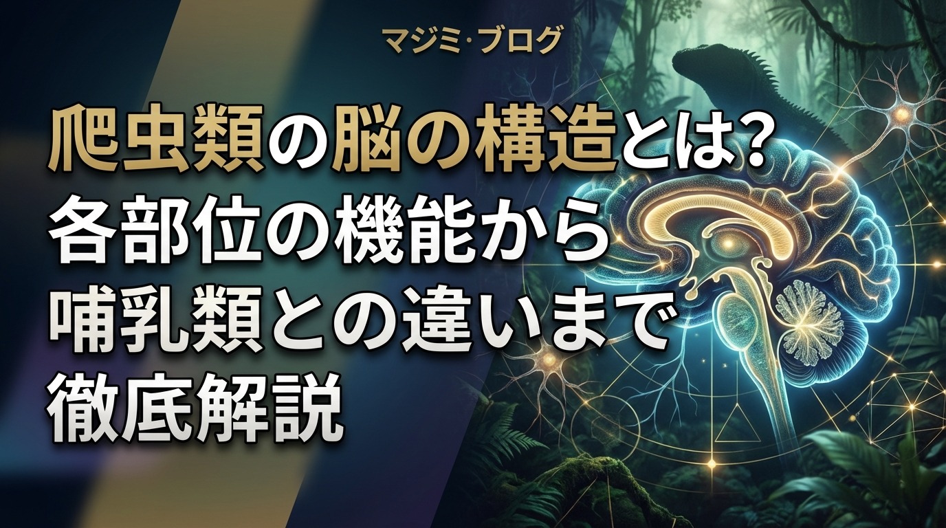 爬虫類の脳の構造とは？各部位の機能から哺乳類との違いまで徹底解説