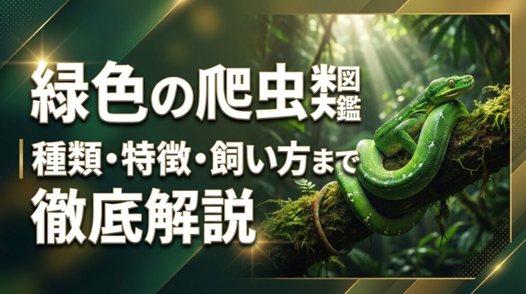 緑色の爬虫類図鑑｜種類・特徴・飼い方まで徹底解説