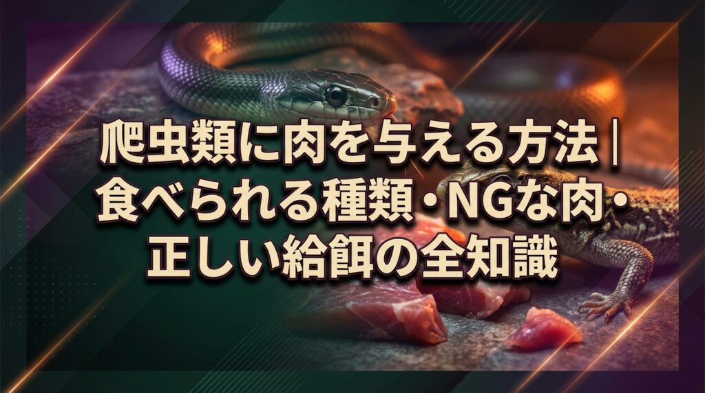 爬虫類に肉を与える方法｜食べられる種類・NGな肉・正しい給餌の全知識