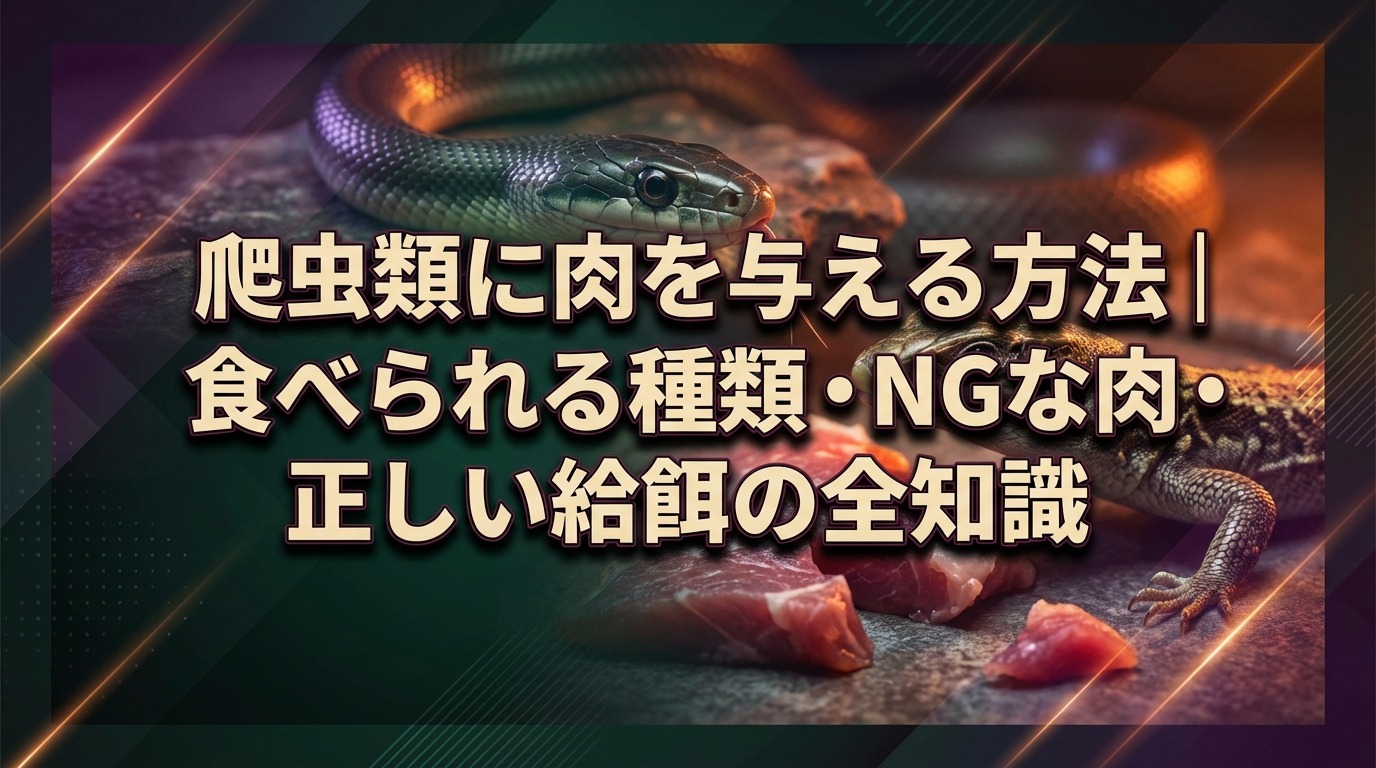 爬虫類に肉を与える方法|食べられる種類・NGな肉・正しい給餌の全知識