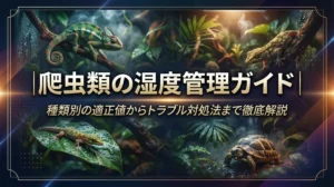 爬虫類の湿度管理ガイド｜種類別の適正値からトラブル対処法まで徹底解説