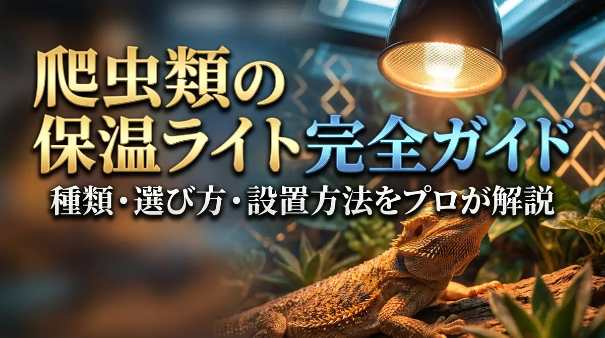 爬虫類の保温ライト完全ガイド｜種類・選び方・設置方法をプロが解説