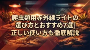 爬虫類用赤外線ライトの選び方とおすすめ7選｜正しい使い方も徹底解説