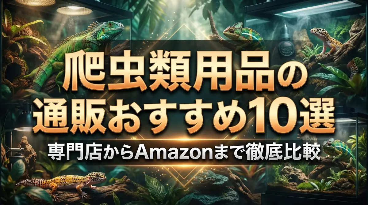 爬虫類用品の通販おすすめ10選｜専門店からAmazonまで徹底比較