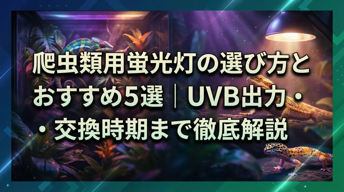 爬虫類用蛍光灯の選び方とおすすめ5選｜UVB出力・設置方法・交換時期まで徹底解説