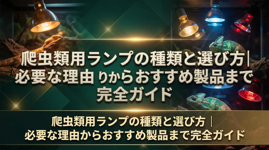 爬虫類用ランプの種類と選び方｜必要な理由からおすすめ製品まで完全ガイド