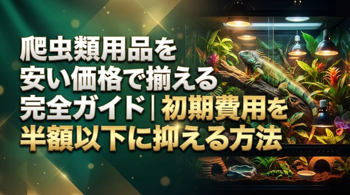 爬虫類用品を安い価格で揃える完全ガイド|初期費用を半額以下に抑える方法