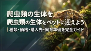爬虫類の生体をペットに迎えよう｜種類・価格・購入先・飼育準備を完全ガイド
