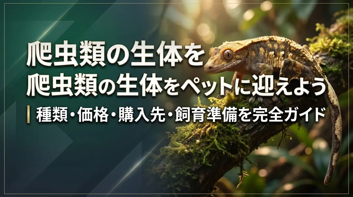爬虫類の生体をペットに迎えよう｜種類・価格・購入先・飼育準備を完全ガイド