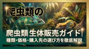 爬虫類の生体販売ガイド｜種類・価格・購入先の選び方を徹底解説