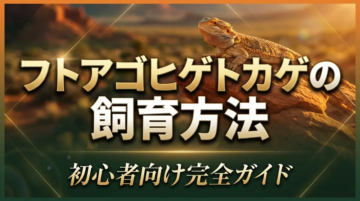 フトアゴヒゲトカゲの飼育方法｜初心者向け完全ガイド