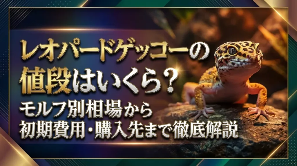 レオパードゲッコーの値段はいくら？モルフ別相場から初期費用・購入先まで徹底解説
