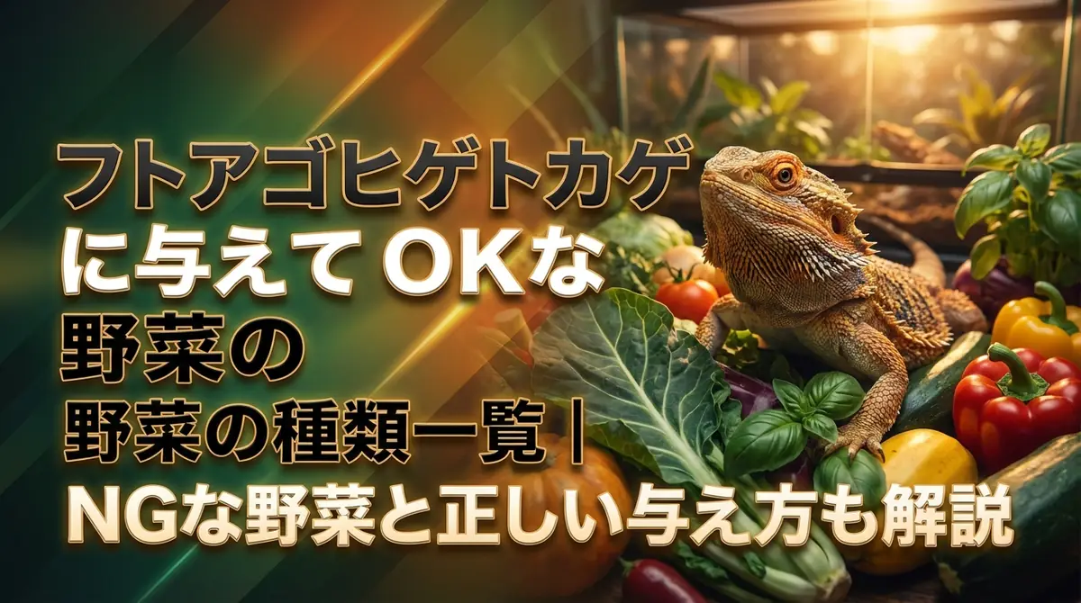 フトアゴヒゲトカゲに与えてOKな野菜の種類一覧|NGな野菜と正しい与え方も解説