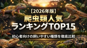 【2026年版】爬虫類人気ランキングTOP15｜初心者向けの飼いやすい種類を徹底比較