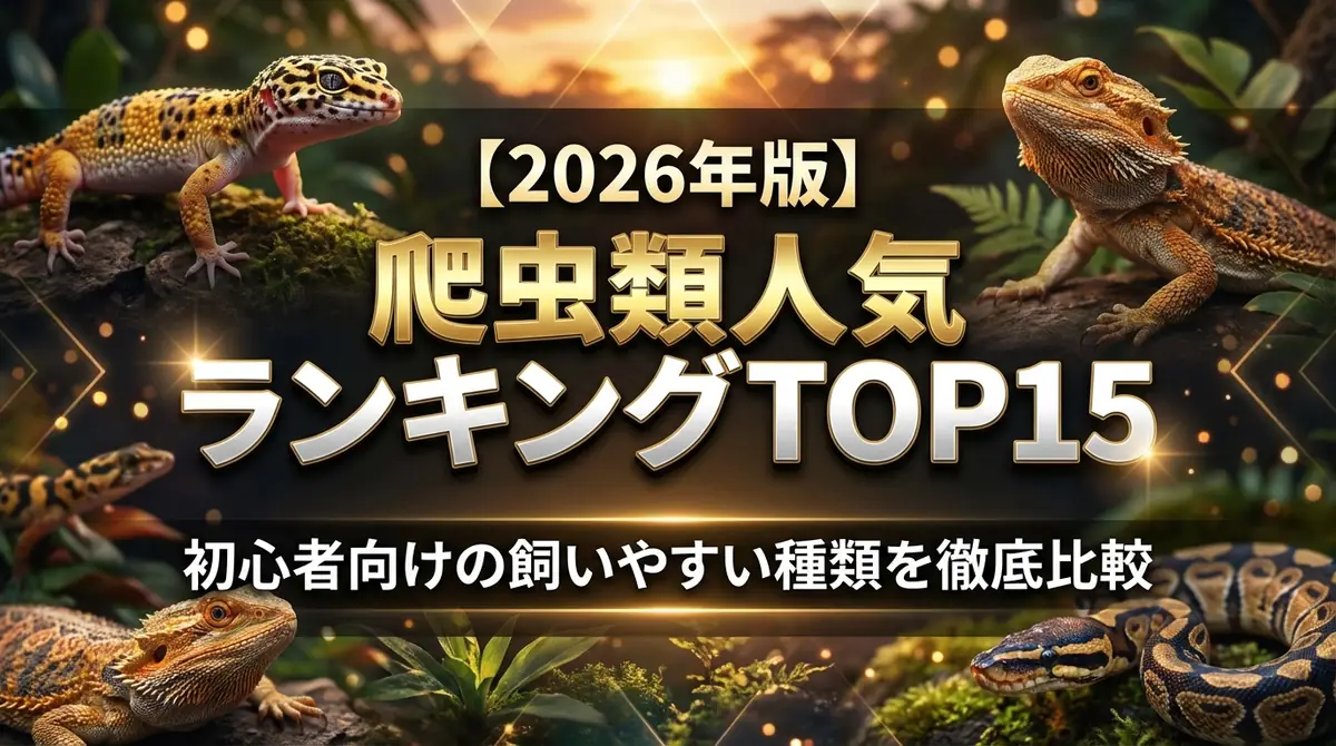 【2026年版】爬虫類人気ランキングTOP15|初心者向けの飼いやすい種類を徹底比較