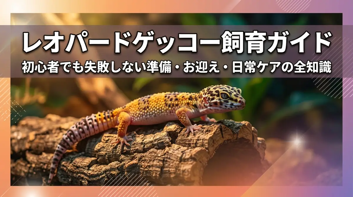 レオパードゲッコー飼育ガイド｜初心者でも失敗しない準備・お迎え・日常ケアの全知識