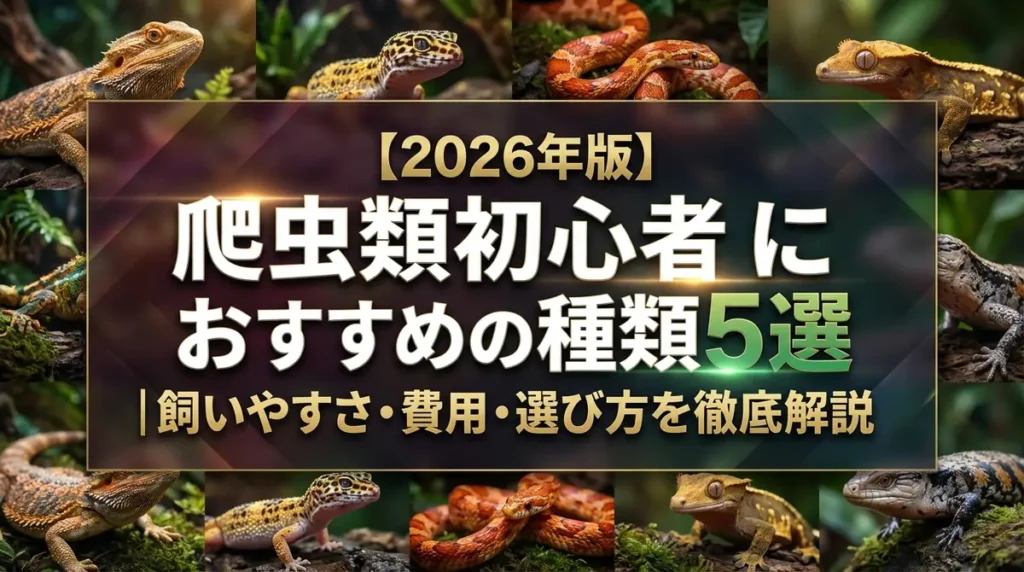 【2026年版】爬虫類初心者におすすめの種類5選｜飼いやすさ・費用・選び方を徹底解説