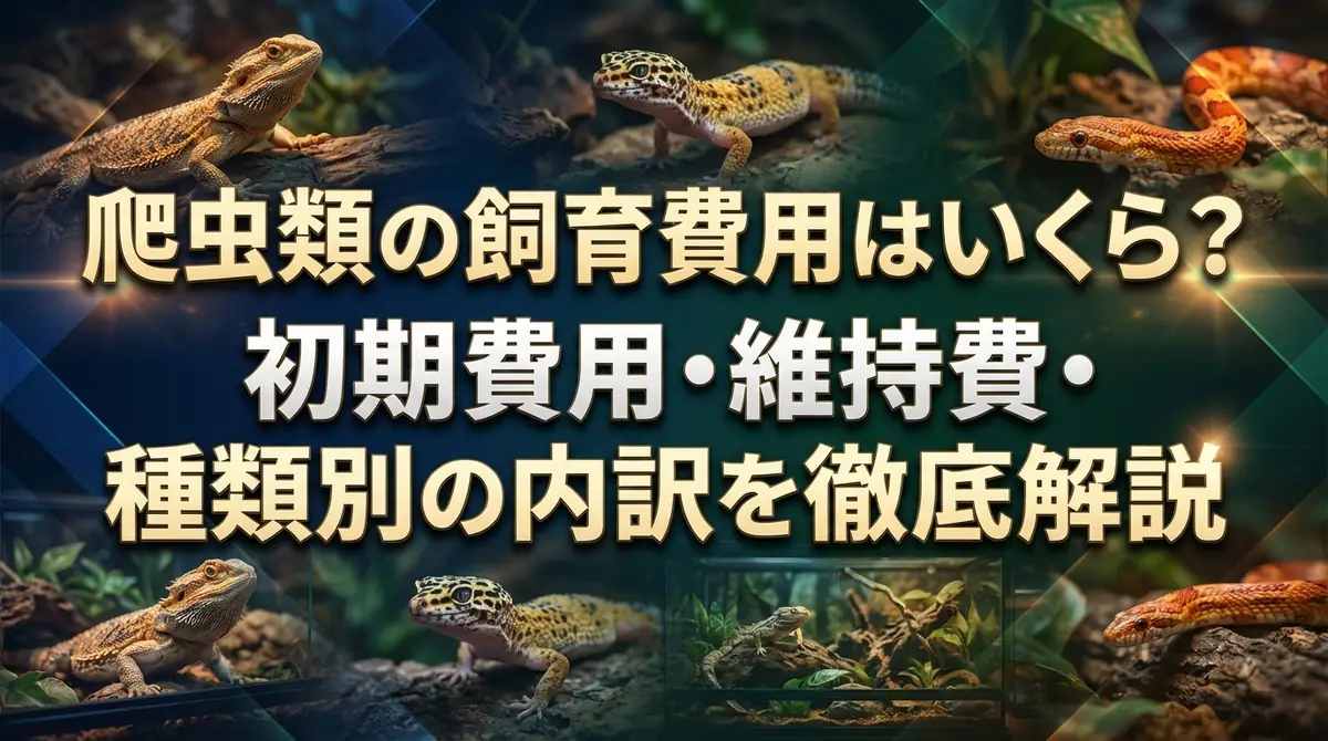 爬虫類の飼育費用はいくら？初期費用・維持費・種類別の内訳を徹底解説