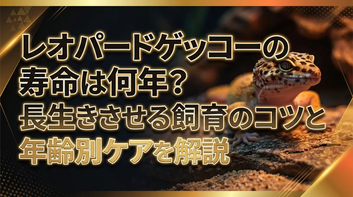 レオパードゲッコーの寿命は何年?長生きさせる飼育のコツと年齢別ケアを解説