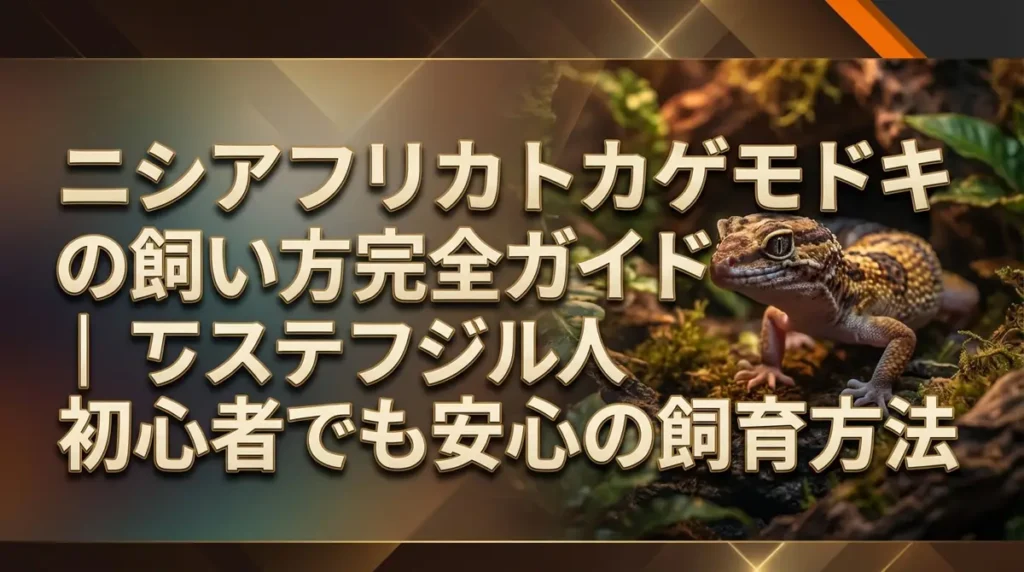 ニシアフリカトカゲモドキの飼い方完全ガイド｜初心者でも安心の飼育方法