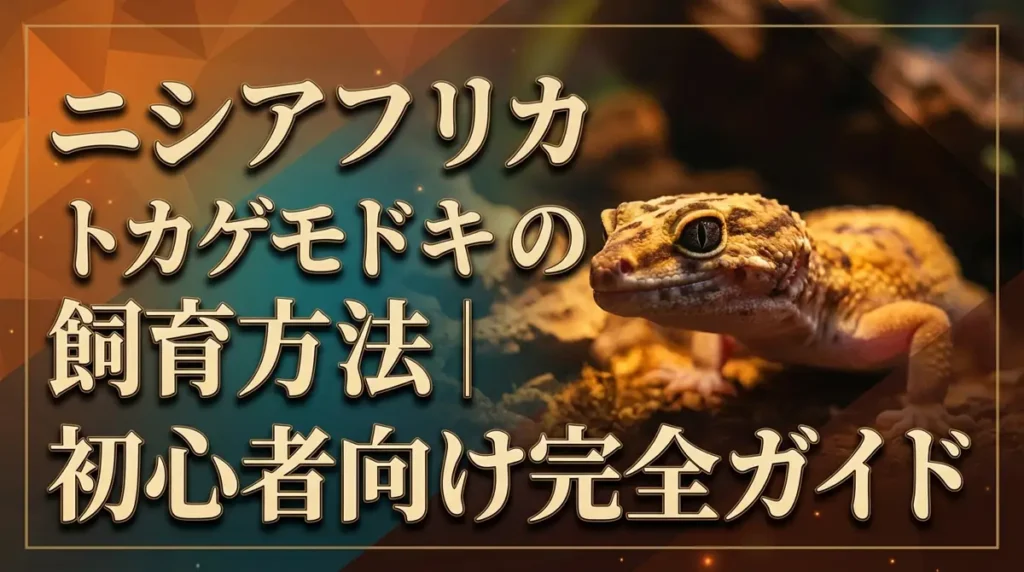 ニシアフリカトカゲモドキの飼育方法｜初心者向け完全ガイド